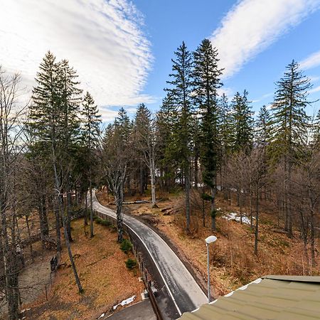 Hotel Casa Viorel Poiana Brasov Εξωτερικό φωτογραφία