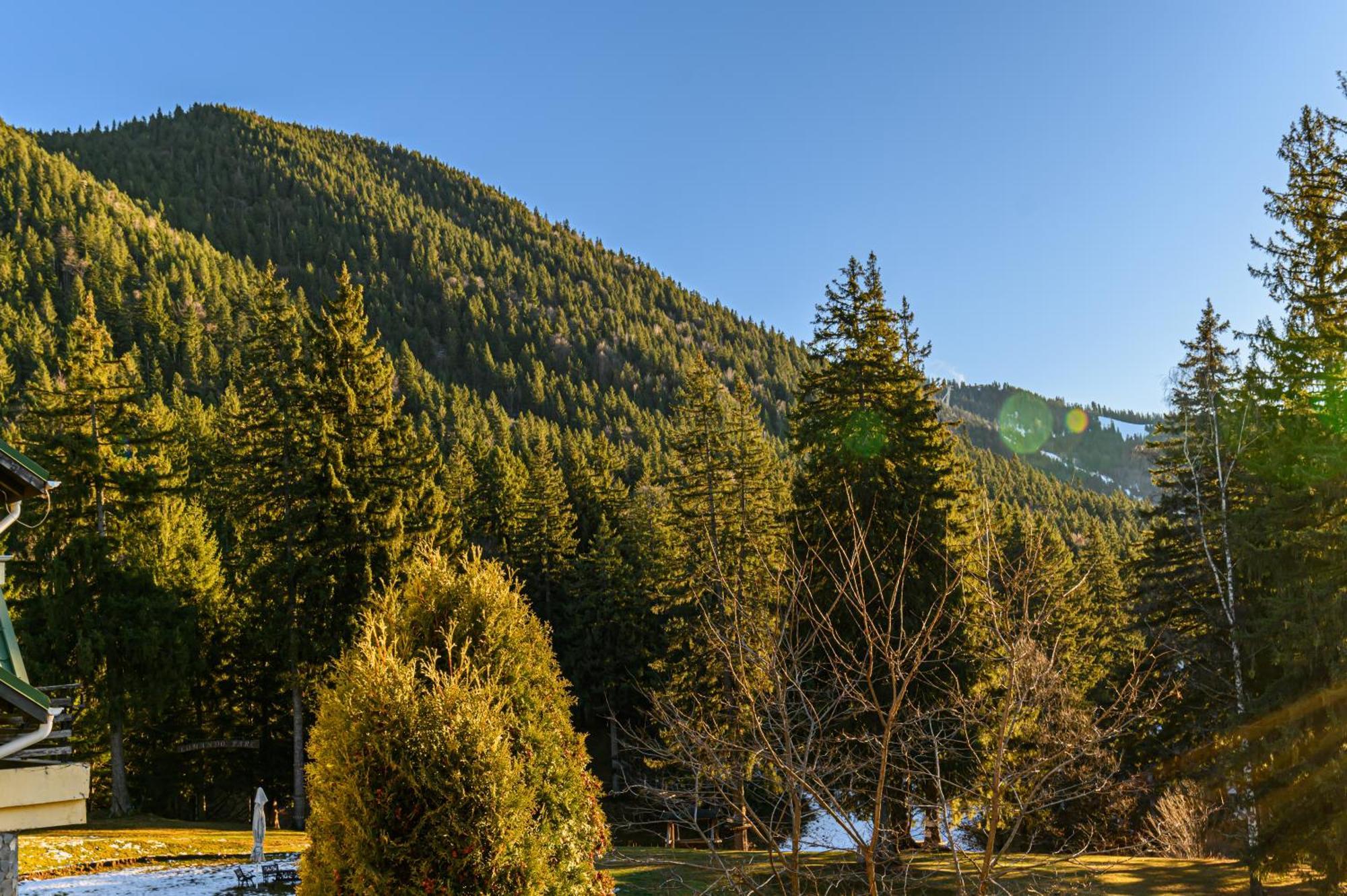 Hotel Casa Viorel Poiana Brasov Εξωτερικό φωτογραφία