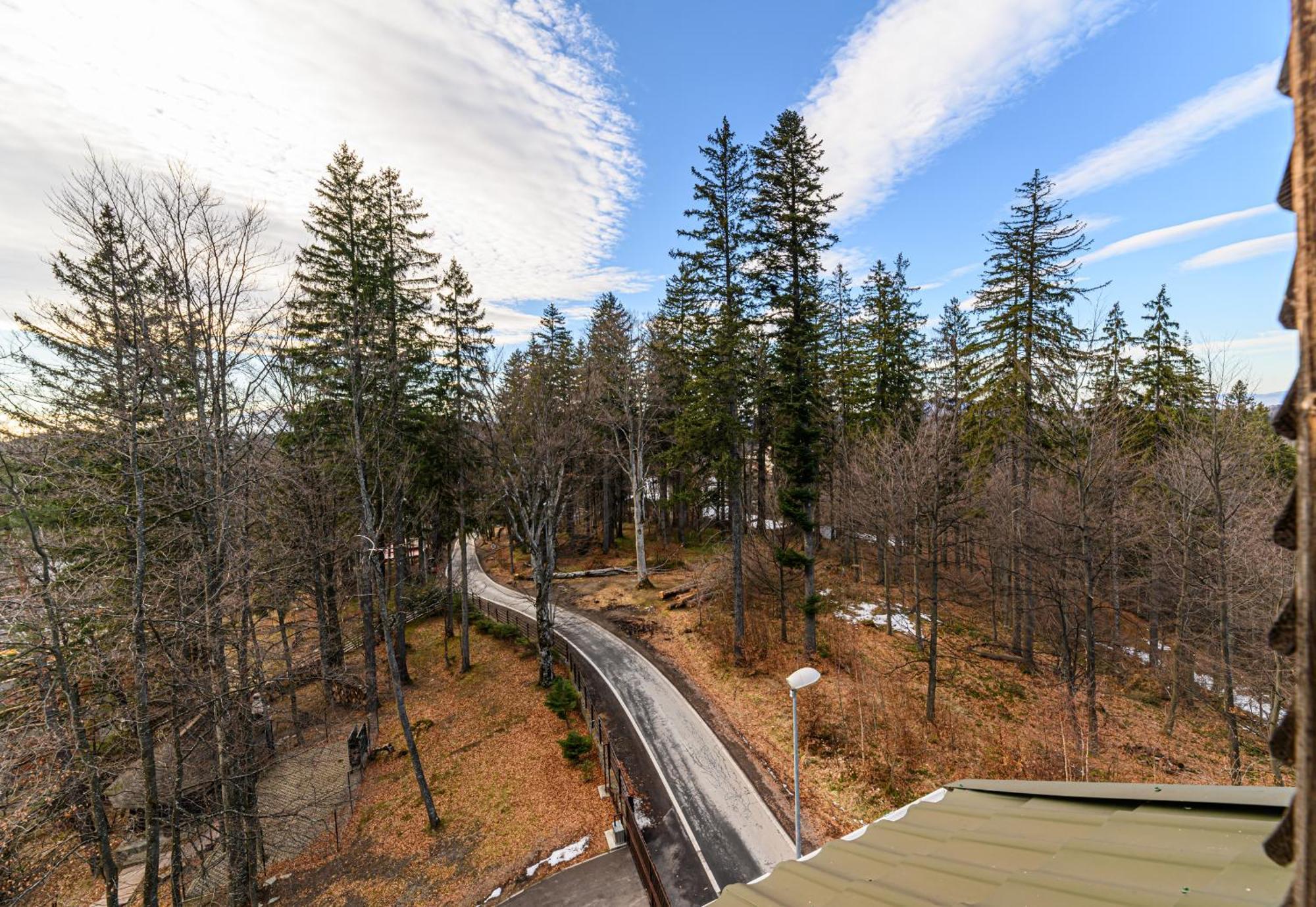 Hotel Casa Viorel Poiana Brasov Εξωτερικό φωτογραφία